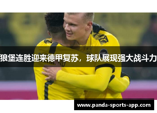 狼堡连胜迎来德甲复苏，球队展现强大战斗力